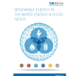 irena report cover