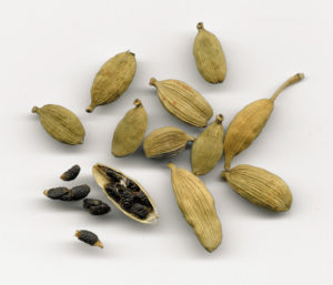 2_Elettaria_cardamomum